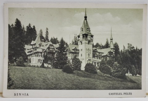 Sinaia Castelul Peles Carte Postala