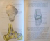 ANATOMIA LUI GRAY DESCRIPTIVA SI APLICATA, EDITIA A 27-A de T.B. JOHNSTON, J. WHILLIS, VOL. II (OSTEOLOGIE, ARTROLOGIE, MIOLOGIE), 1944