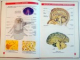 ANATOMIA OMULUI , ATLAS SCOLAR de FLORICA TIBEA , EDITIE REVIZUITA