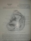 ANATOMIE HUMAINE DESCRIPTIVE ET TOPOGRAPHIQUE de H. ROUVIERE, 3 VOLUME  1943