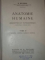 ANATOMIE HUMAINE DESCRIPTIVE ET TOPOGRAPHIQUE de H. ROUVIERE, 3 VOLUME  1943