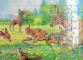 ANIMALE SALBATICE, CARTE PUZZLE, 4 PUZZLE CU 48 DE PIESE