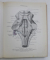 ATLAS DE ANATOMIE UMANA-SINELNIKOV  VOL 3  1983 (LIMBA RUSA)