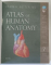 ATLAS OF HUMAN ANATOMY , 7th EDITION by FRANK H. NETTER , 2019