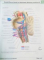 ATLAS OF HUMAN ANATOMY de FRANK H. NETTER