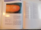 BASICS OF CRYOSURGERY de NIKOLAI N. KORPAN , 2001