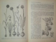 BOTANICA AGRICOLA VOL. II SISTEMATICA PLANTELOR de PROF. DR. AL. BUIA , PROF. DR. A. NYARADY , PROF. DR. RAVARUT