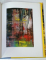 GERHARD RICHTER , LARGE ABSTRACTS , edited by ULRICH WILMES , 2009