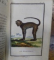 Histoire Naturelle par Buffon 1799