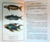 HISTOIRE NATURELLE  DES POISSONS -   TOM X   - PARIS 1799 