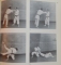 JUDO , KODOKAN & KAWAISHI , NAGE-NO-KATA , KATAME-NO-KATA , 1972