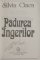 PADUREA INGERILOR , O POVESTE AMERICANA de SILVIA CINCA , 1998 *SEMNATURA