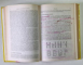 PSIHOLOGIA MECANISMELOR COGNITIVE de MIELU ZLATE , 1999 *EDITIE CARTONATA , *PREZINTA SUBLINIERI , INSEMNARI CU EVIDENTIATORUL SI PIXUL