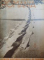 REVISTA OFICIULUI NATIONAL DE TURISM, ROMANIA 1945-1946
