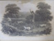 RURAL SPORTS DANIEL WILLIAM B , LONDON 1807