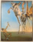 SALVADOR DALI 1904-1989, L'OEUVRE PEINT par  ROBERT DESCHARNES / GILLES NERET, VOL I-II