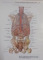 SOBOTTA , ATLAS OF HUMAN ANATOMY EDITED  by JOCHEN STAUBESAND , VOL I - II , 1990