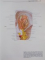 SOBOTTA , ATLAS OF HUMAN ANATOMY EDITED  by JOCHEN STAUBESAND , VOL I - II , 1990