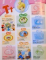 STICKER DICTIONARY , DICTIONAR ILUSTRAT , 2008