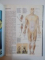 THE ILLUSTRATED ENCYCLOPEDIA OF THE HUMAN BODY de MICHAEL BISACRE , RICHARD CARLISLE , DEBORAH ROBERTSON , JOHN RUCK , 1975