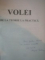 VOLEI - DE LA TEORIE LA PRACTICA de MUGUREL NICULESCU , 2002