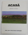 ACASA - PERIODIC CULTURAL , ANUL I , NR. 3 , IULIE - AUGUST - SEPTEMBRIE , ANII '2000