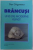 BRANCUSI  UND DIE MODERNE KUNST von DAN GRIGORESCU , 2003 * PREZINTA HALOURI DE APA