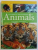 CHILDREN'S ENCYCLOPEDIA OF ANIMALS by KAREN MCGHEE and GEORGE MCKAY, 2014