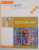 ENCYCLOPEDIA OF ART FOR YOUNG PEOPLE : MEDEVAL ART by RACHEL BECKETT , VOL II , 2008