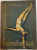 GIMNASTICA ACROBATICA de N. BAIESU , 1957