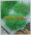 GRANDES IDEES POUR PETITS JARDINS, CONCEVOIR , AMENAGER , DECORER , 2003