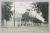 ISMAIL , STRADA REGINA MARIA , CARTE POSTALA ILUSTRATA , 1930