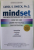 MINDSET , THE NEW PSYCHOLOGY OF SUCCESS by CAROL S. DWECK , 2006