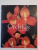 ORCHIDS A CARE MANUAL de BRIAN & SARA RITTERSHAUSEN , 2006