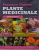 PLANTE MEDICINALE, GHID ESENTIAL de ROSEMARY GLADSTAR, 2015