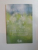 PUTEREA PREZENTULUI ,GHID  PRACTIC , INVATATURI ESENTIALE , MEDITATII SI EXERCITII DIN PUTEREA PREZENTULUI de ECKHART TOLLE , 2009
