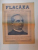 REVISTA FLACARA , ANUL I , NR. 40 , 21 IULIE 1912