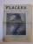 REVISTA FLACARA , ANUL II , NR. 17 , 9 FEBRUARIE 1913