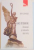 SANKT PETERSBURG , ROMANUL SI ROMANELE UNUI ORAS de ION IANOSI , 2004