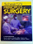 SCHWARTZ'S PRINCIPLES OF SURGERY de CHARLES BRUNICARDI , DANA K. ANDERSEN ... RAPHAEL E. POLLOCK , 2010 CONTINE CD