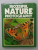 SUCCESSFUL NATURE PHOTOGRAPHY , HOW THE TAKE BEAUTIFUL PICTURES OF THE LIVING WORLD , edited by CHRISTOPHER ANGELOGLOU and JACK SCHOFIELD , 1982