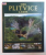 THE PLITVICE LAKES  by CELIA IRVING , 2007