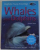 WHALES AND DOLPHINS by CAROLINE HARRIS , 2005