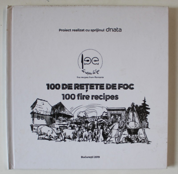 100 RETETE DE FOC / 100 FIRE RECIPES , retete culese de STEFAN LUNGU , ilustrator OVIDIU STANCIU , EDITIE BILINGVA ROMANA - ENGLEZA , ANII '2000