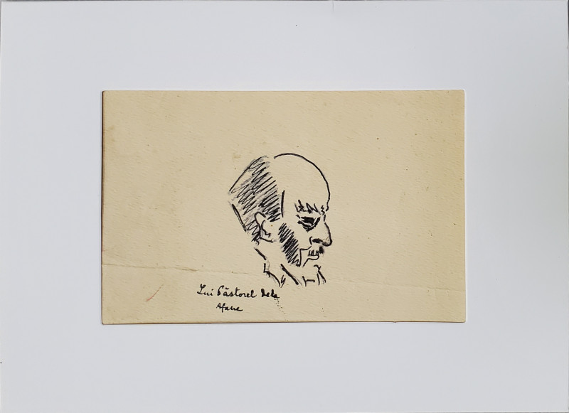 Afane Teodoreanu (1921-2006) - Profil