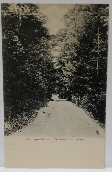 ALEEA SPRE POIANA ' TIGANCII ' , MANASTIREA VARATIC , CARTE POSTALA ILUSTRATA , CLASICA , CCA. 1900