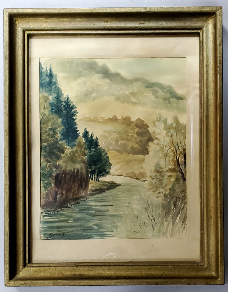 Alexandru Ionescu Iasi - Dambovicioara