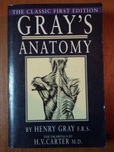 ANATOMY DESCRIPTIVE AND SURGICAL by HENRY GRAY . THE DRAWINGS by H. V. CARTER  1991