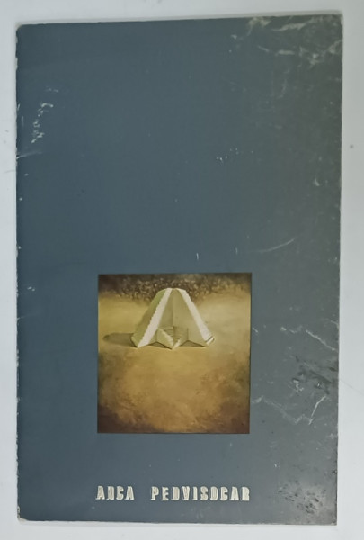 ANCA  PEDVISOCAR , CATALOG DE EXPOZITIE , 1983