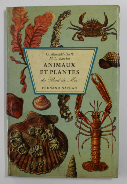 ANIMAUX ET PLANTES DU BORD DE MER par G. MANDAHL - BARTH et M. L. BAUCHOT , ANII '60